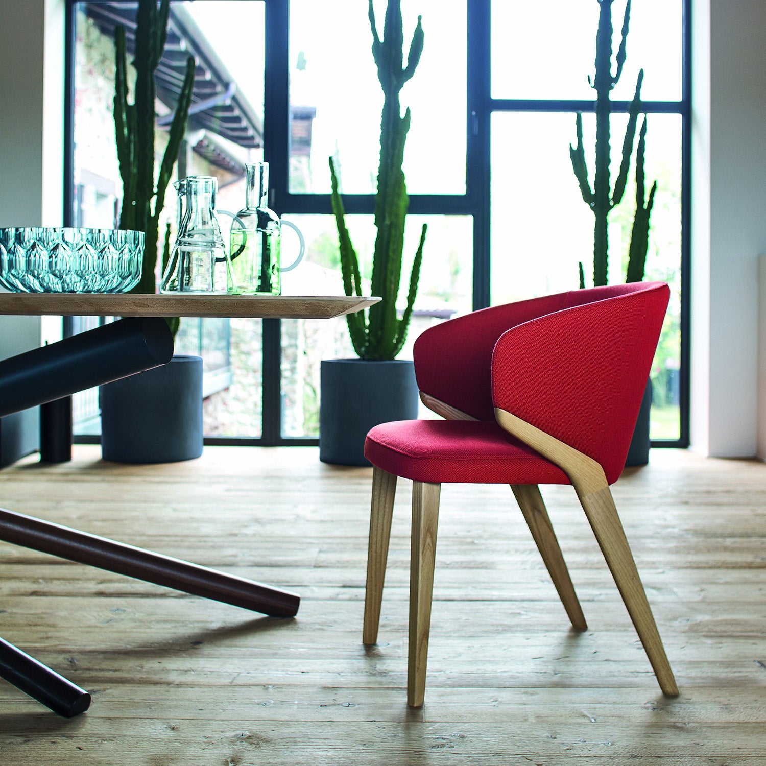 Nora dining chair in red upholstery with natural wood legs, styled in a modern dining room with glass tabletop and tall cactus plants.