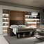 Open-concept living room featuring Upper Cabinets above a Murphy bed with sectional sofa, complemented by illuminated shelving for books and decorative accents.