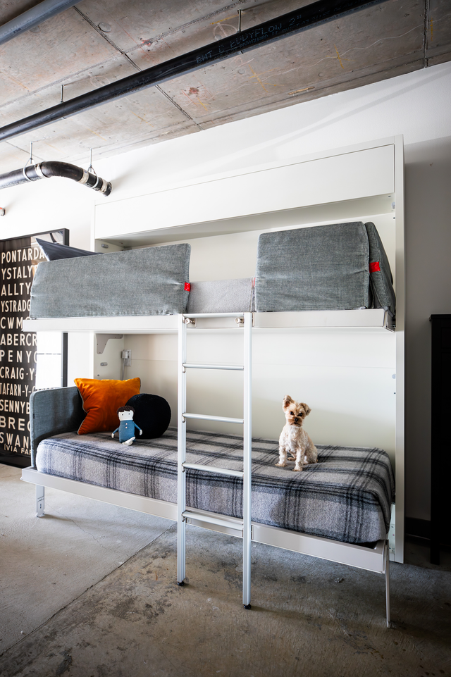 Kali Duo bunk bed open in a soft loft; upholstery, plaid bedding, ladder, and small dog—multifunctional kids’ sleep zone.