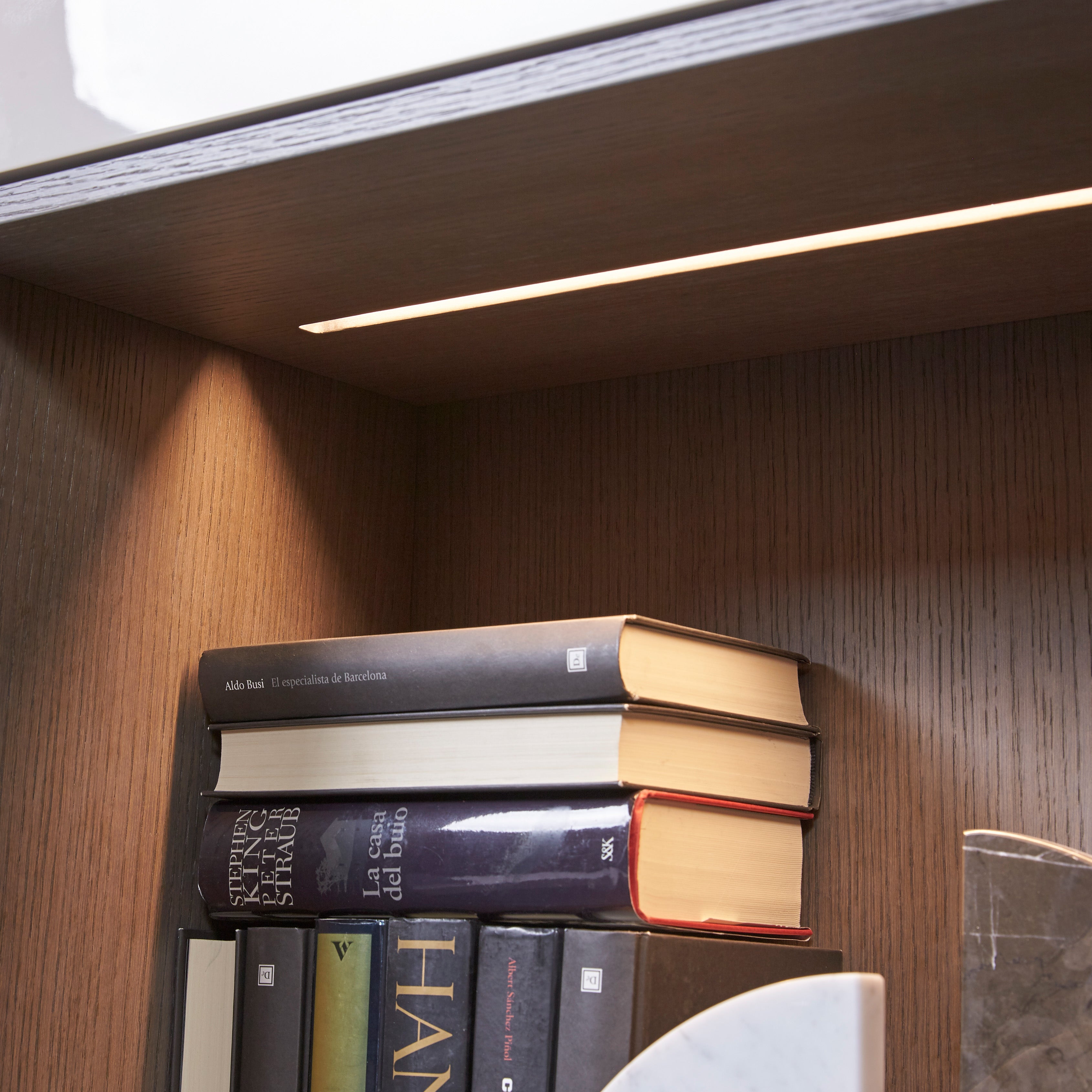 Custom cabinetry units bookshelf detail with built-in lighting and stacked books — modern space-saving furniture by Resource Furniture.